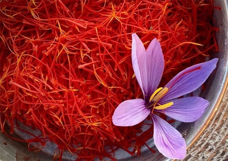 Saffron threads heaped in a bowl