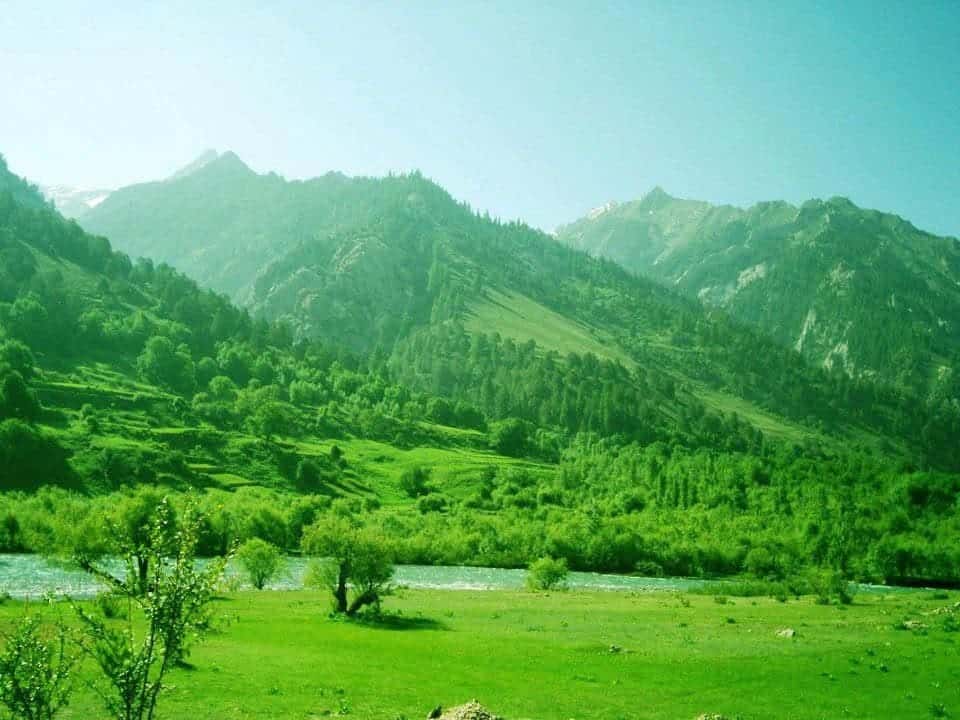 A green valley meadow with a river running through it, pine-clad slopes above