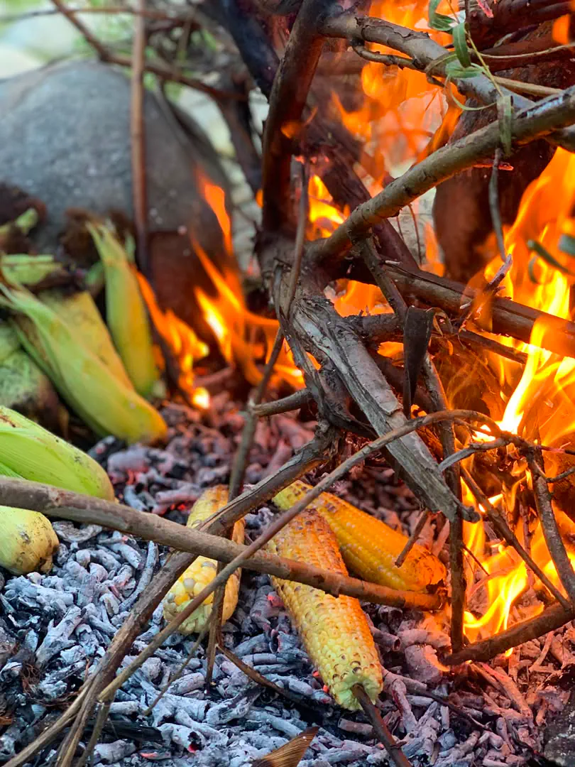 Ears of sweetcorn roasting on the embers of an open fire in Kantiwa, flames beside them