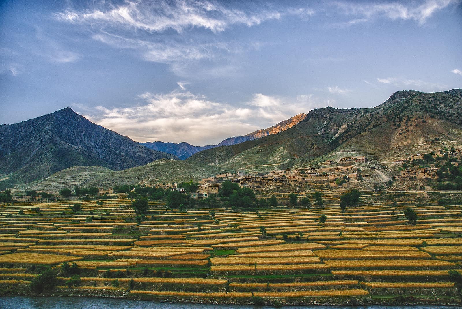 Golden terraced fields above the Kunar river with a hillside village in Nari district