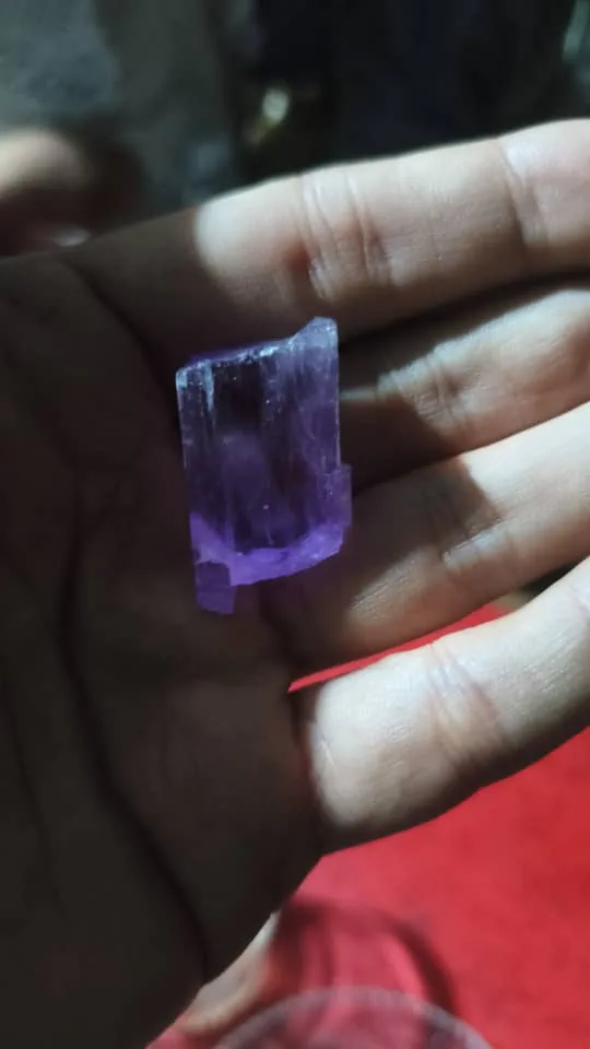 A deep violet kunzite crystal from the Mawi mine in Nuristan held in the palm of a hand, its sides grooved along the length