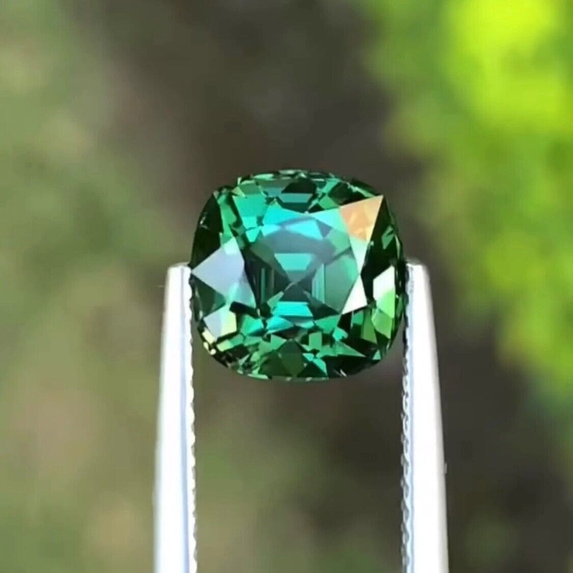 A faceted green gemstone held in tweezers against green leaves
