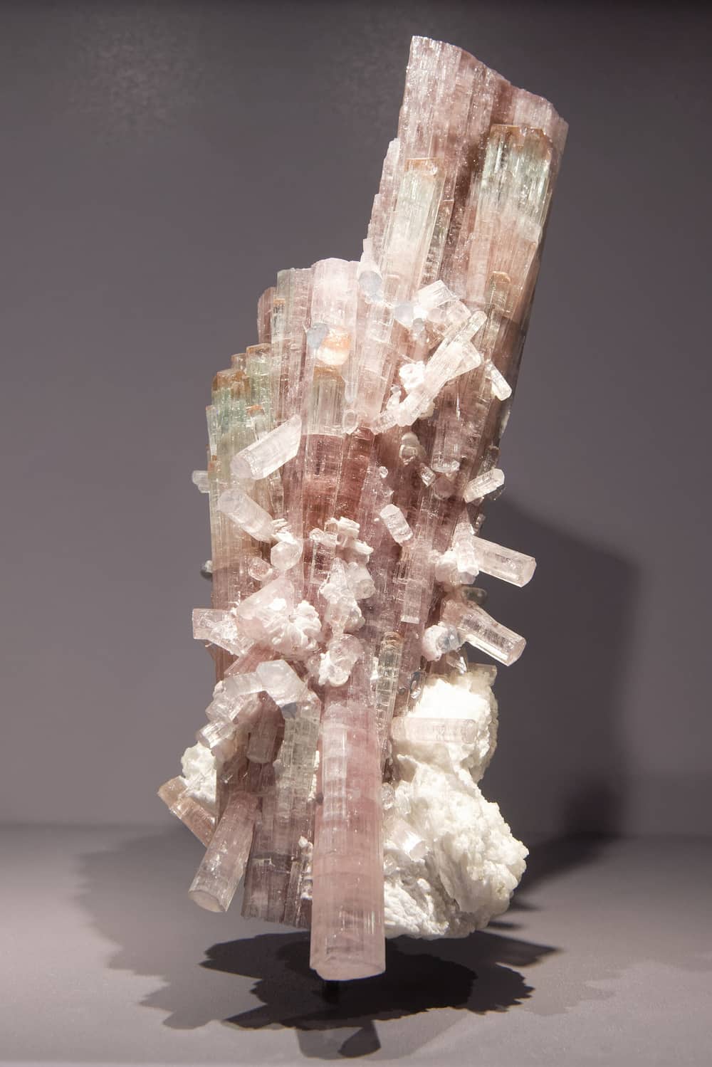 A tall spray of pale pink and green tourmaline crystals on white feldspar, from Paprok in Nuristan, in a museum case