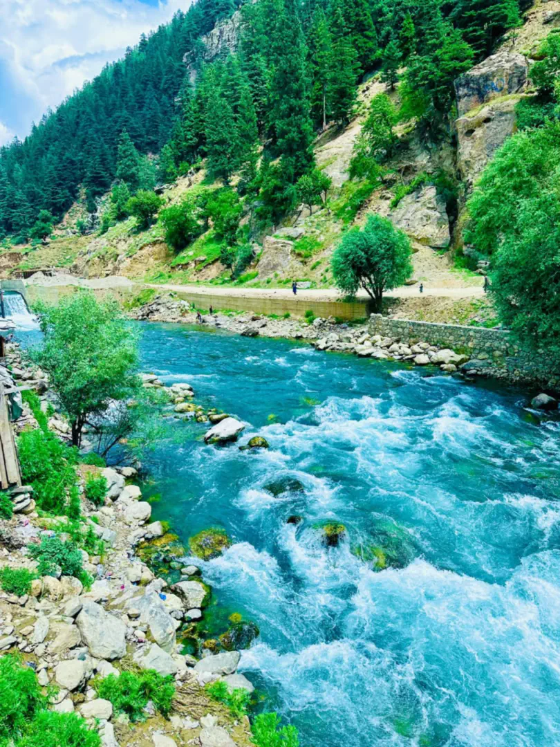The Parun river rushing through a gorge of pine and cedar forest, a path along the far bank
