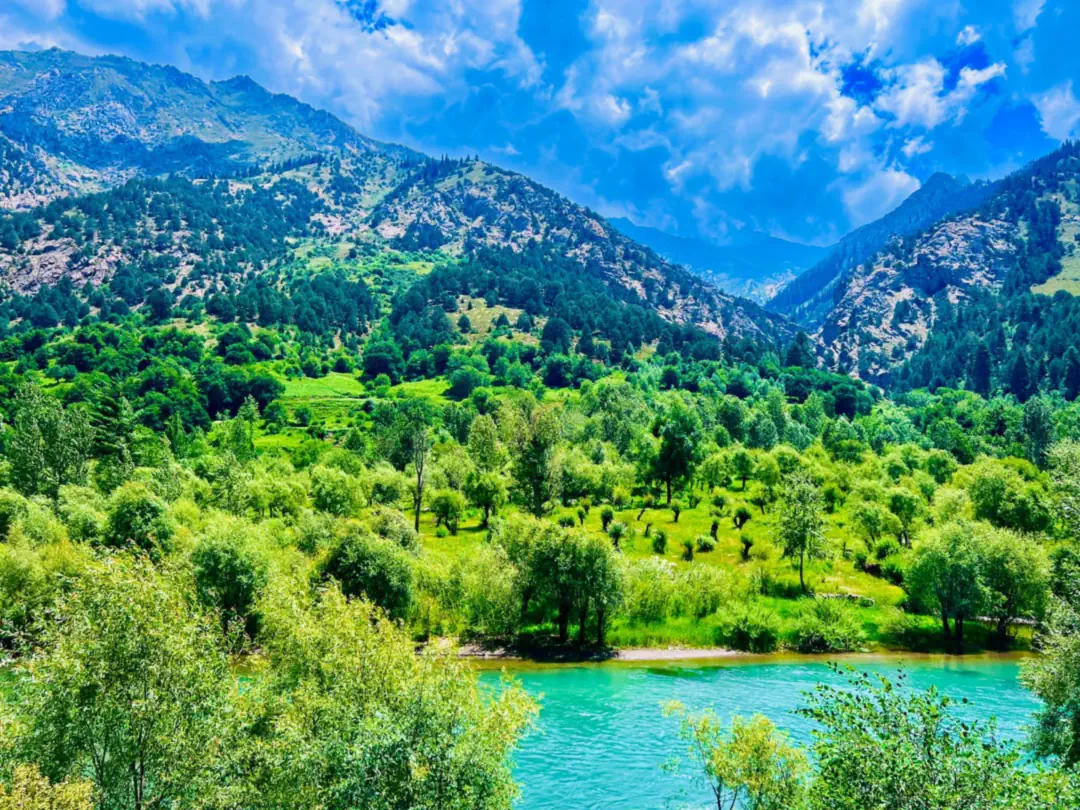 بخشی فیروزهای از دریای پارون زیر باغها، بالاتر از واما، با کوههای جنگلی در دوردست