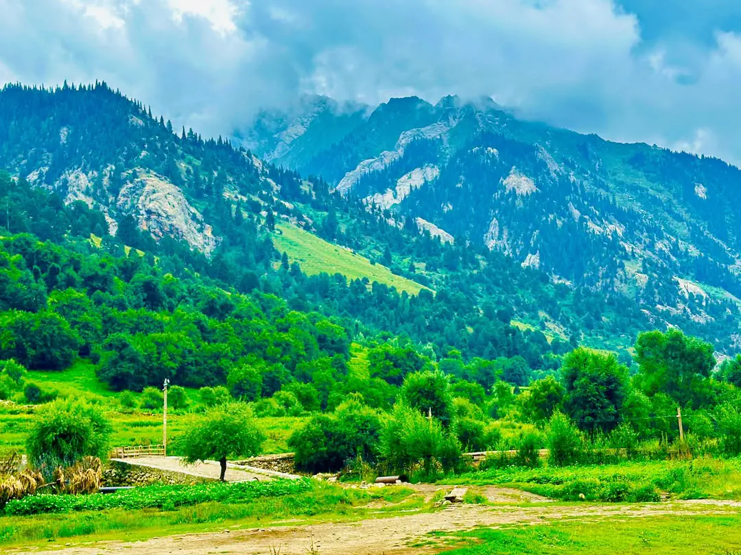 Green fields and trees on the Parun valley floor, forested slopes and cloud-capped peaks above