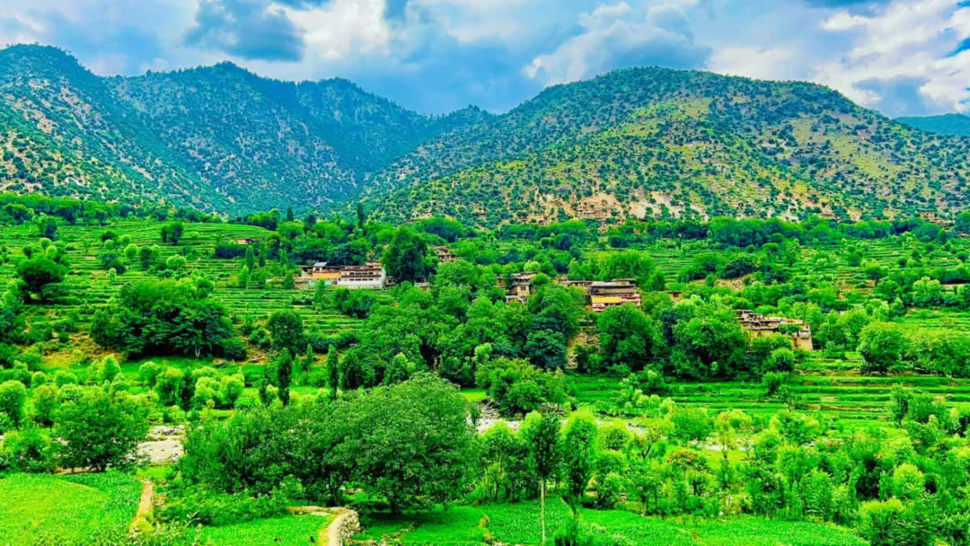 Timber houses among terraced fields and trees in the Parun valley, forested hills behind