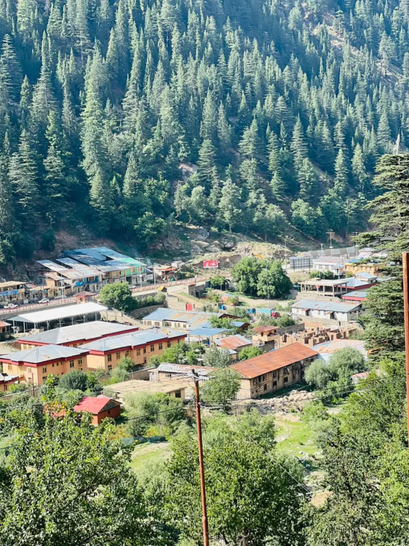 Houses and roofs of a village on the valley floor in Parun, cedar forest rising steeply behind